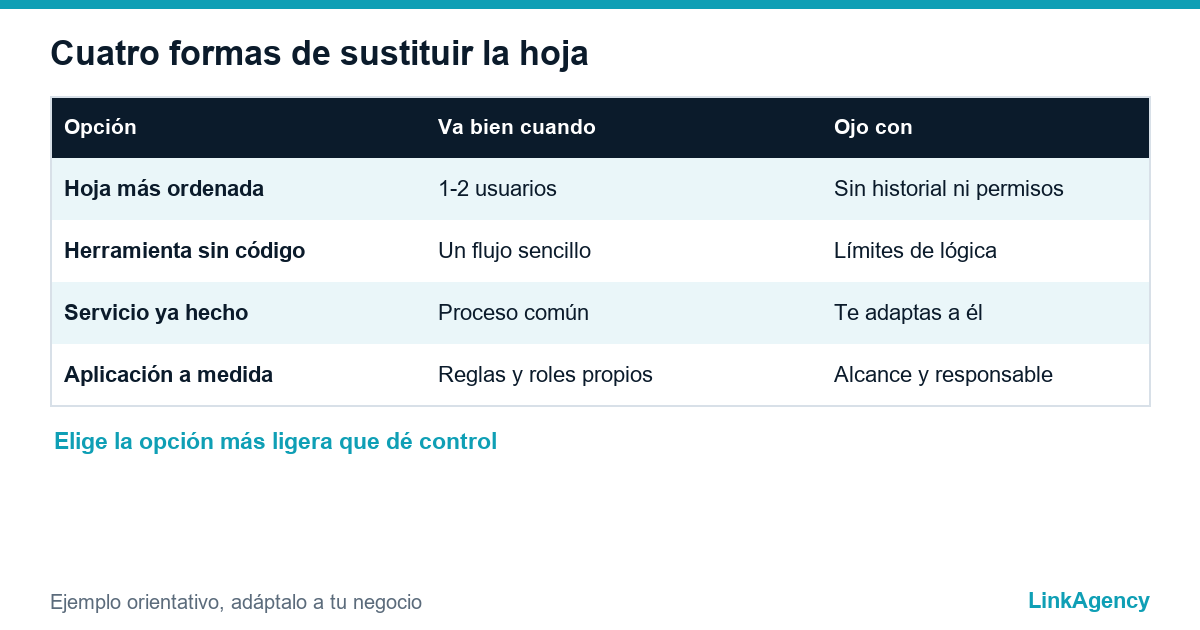 comparación de formas de sustituir Excel por una aplicación propia